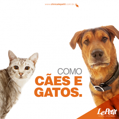 Vivendo como cães e gatos