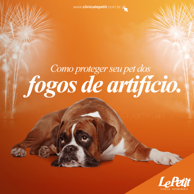 Dicas pra cuidar do seu pet com medo de fogos de artifício